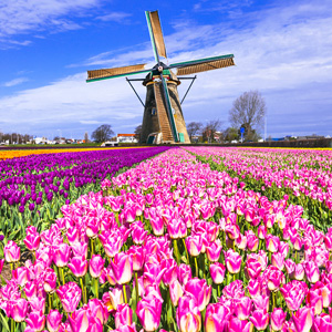 nederland gr