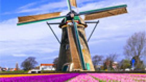 Miniatuurvoorbeeld